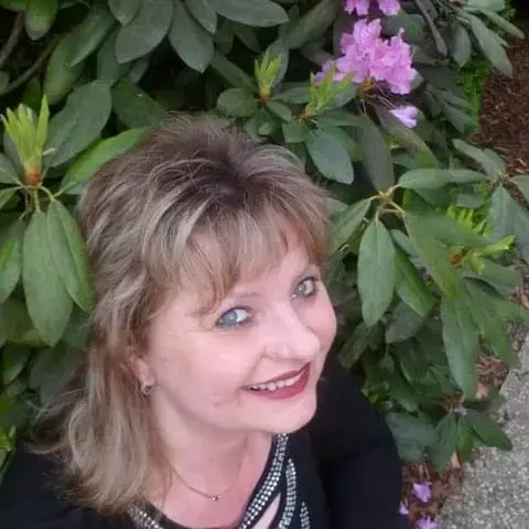 Να σχολιάσω